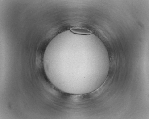 X0000115190136200911181456