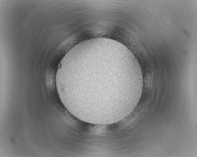 X0000115190138200911181456