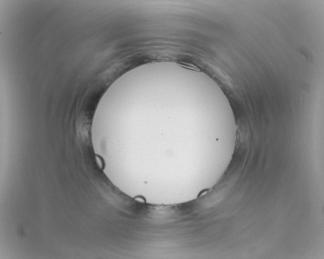 X0000115190141200911181456