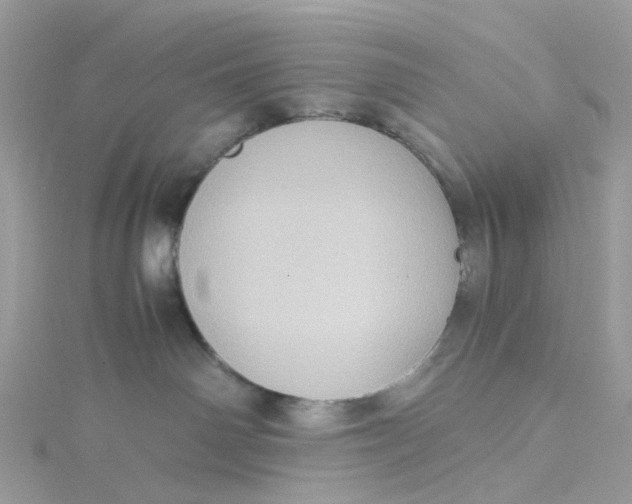 X0000115190142200911181456