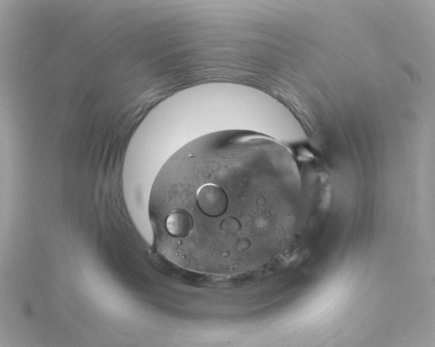 X0000115190143200911181456