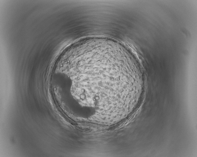 X0000115190145200911181455