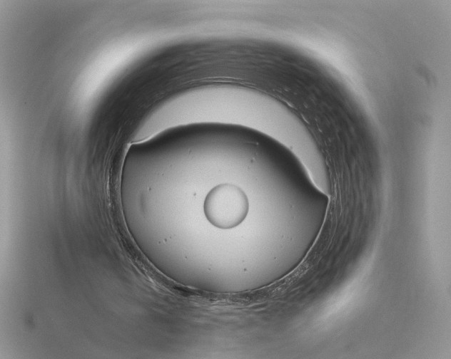 X0000115190146200911181455