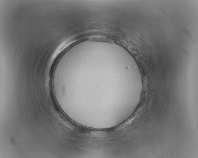 X0000115190150200911181455