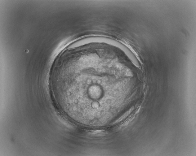 X0000115190151200911181455