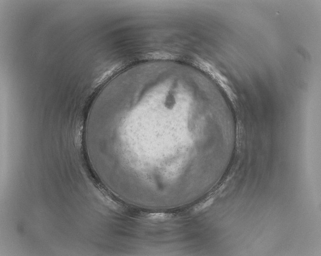 X0000115190153200911181455