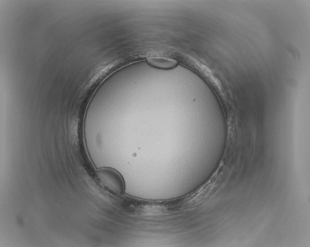 X0000115190154200911181455