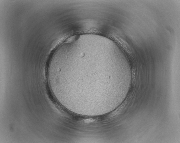 X0000115190158200911181455