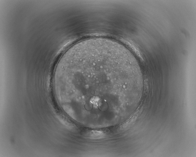 X0000115190159200911181455