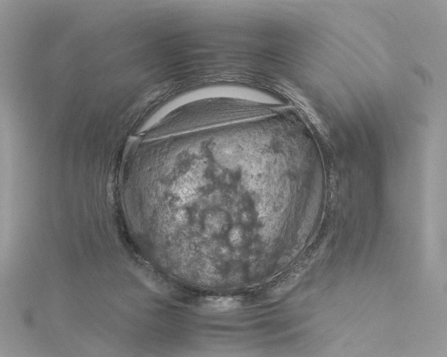 X0000115190161200911181455