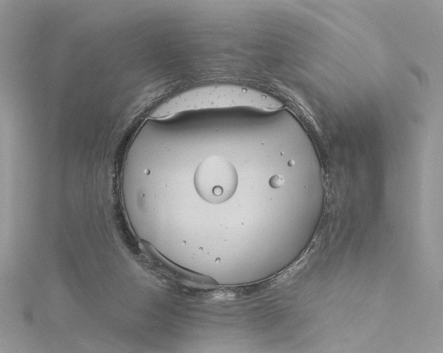 X0000115190162200911181455