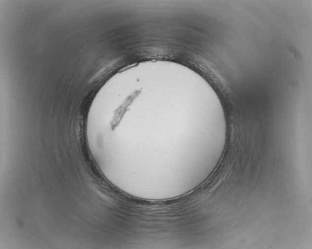 X0000115190165200911181455