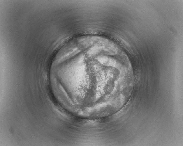 X0000115190166200911181455