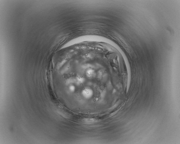 X0000115190169200911181455