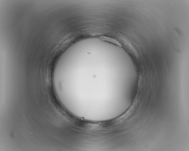 X0000115190170200911181455