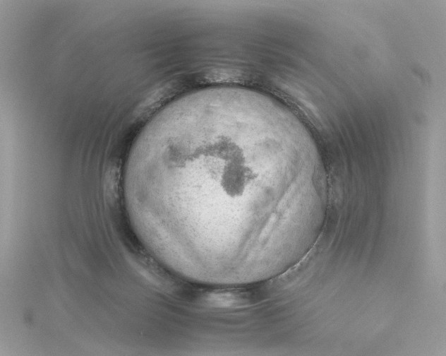 X0000115190171200911181455