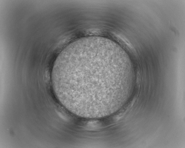 X0000115190173200911181455