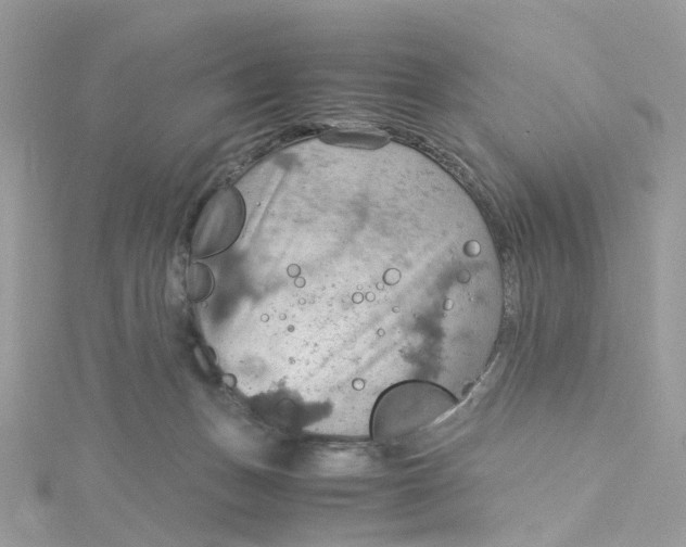 X0000115190175200911181455