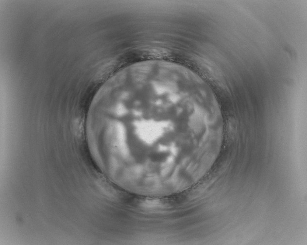 X0000115190177200911181455