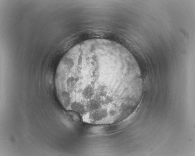 X0000115190178200911181455