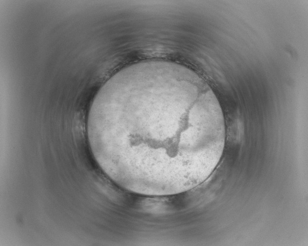 X0000115190179200911181455