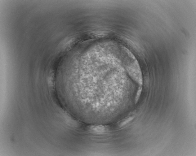 X0000115190181200911181456