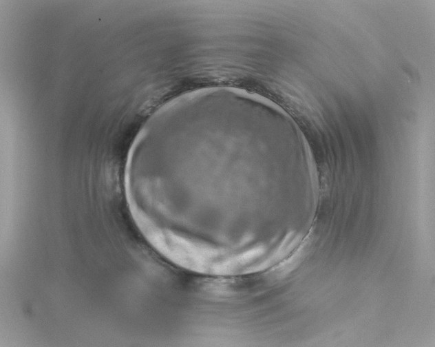 X0000115190182200911181456