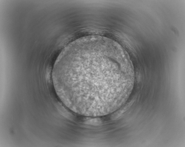 X0000115190185200911181456