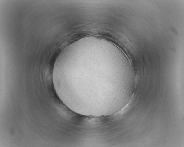 X0000115190186200911181456