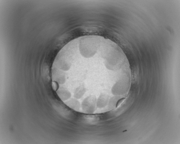 X0000115190187200911181456