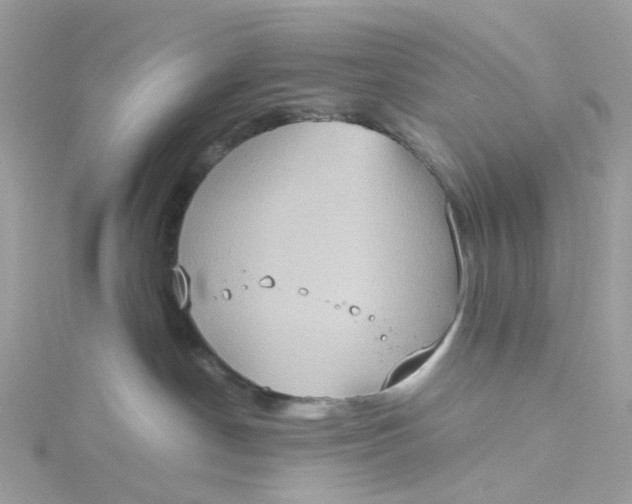 X0000115190190200911181456