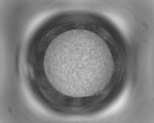 X0000115190191200911181456