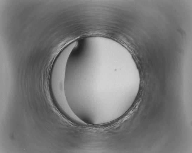 X0000115190193200911181455