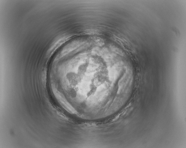 X0000115190194200911181455