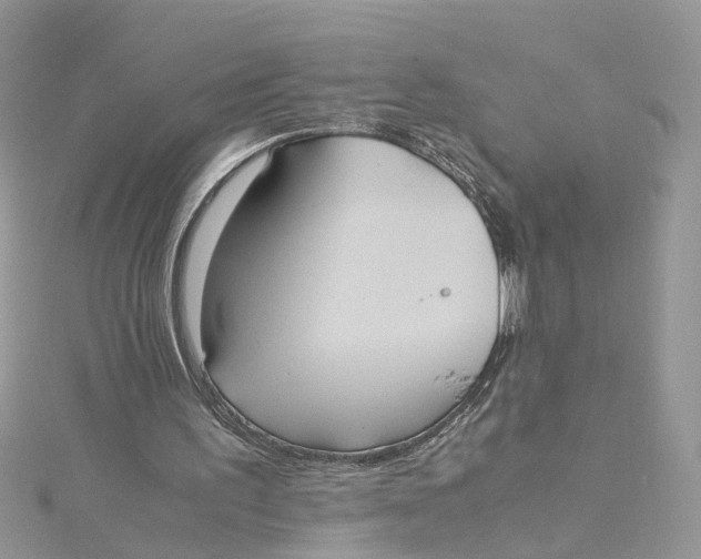 X0000115190195200911181455