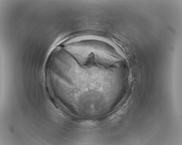 X0000115190198200911181455