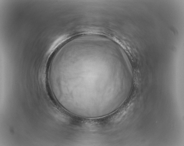 X0000115190199200911181455