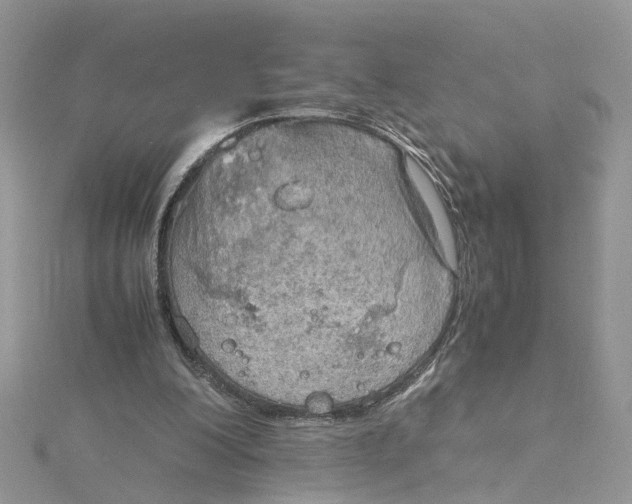 X0000115190200200911181455