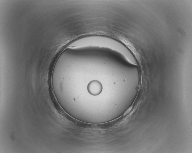 X0000115190201200911181455