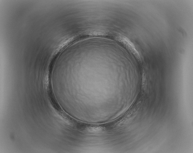 X0000115190202200911181455