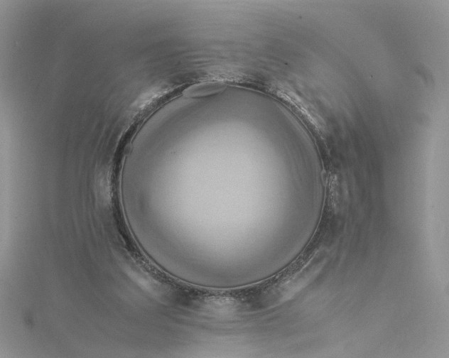 X0000115190203200911181455