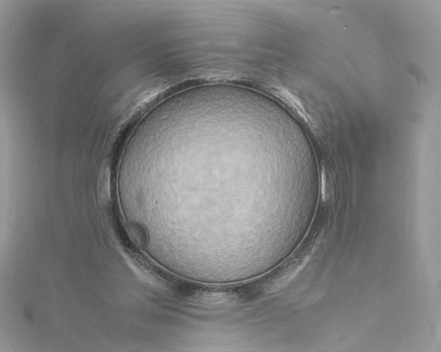 X0000115190205200911181455