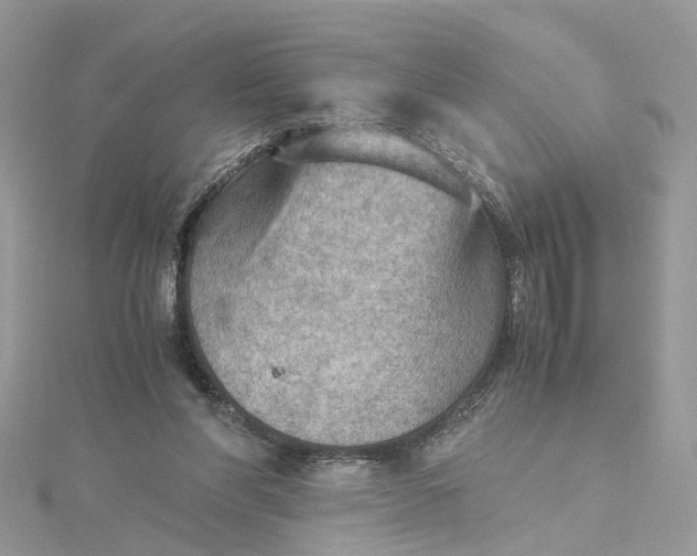 X0000115190206200911181455