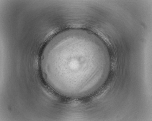 X0000115190207200911181455