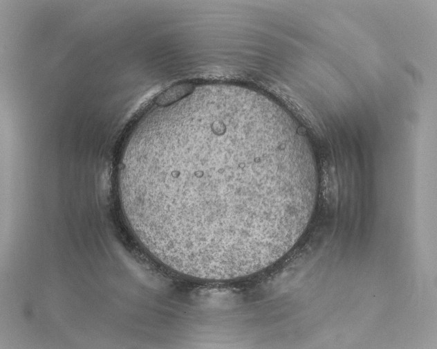 X0000115190208200911181455