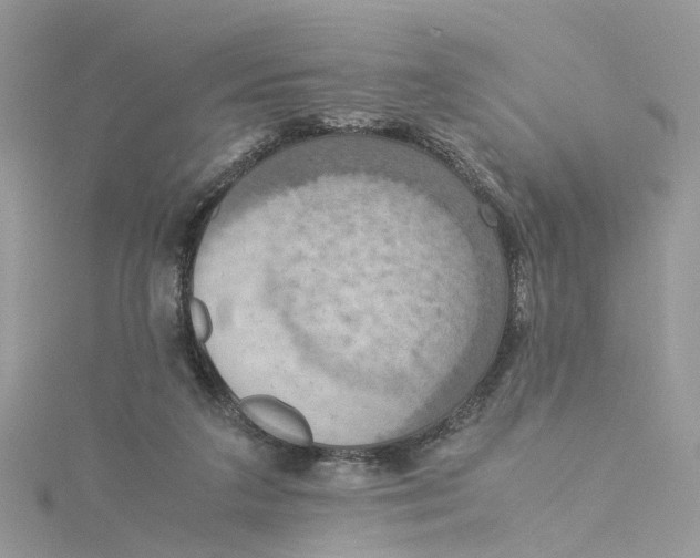 X0000115190211200911181455