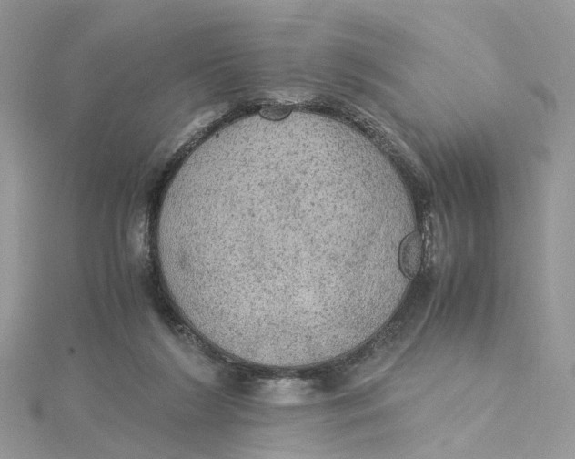 X0000115190212200911181455