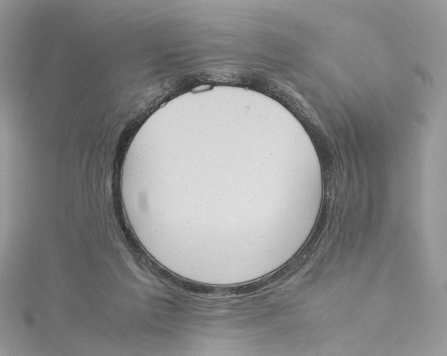 X0000115190213200911181455