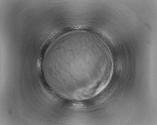 X0000115190214200911181455