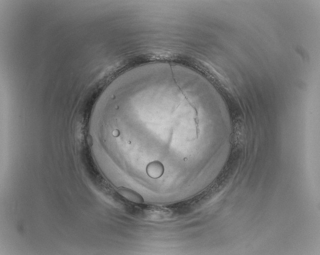 X0000115190215200911181455